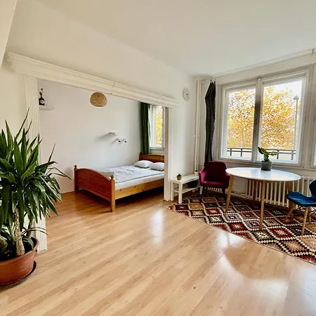 Frankel Near Lukacs Bath Apartment Budapest