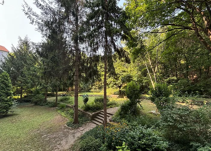 Frankel Near Lukacs Bath 아파트 부다페스트
